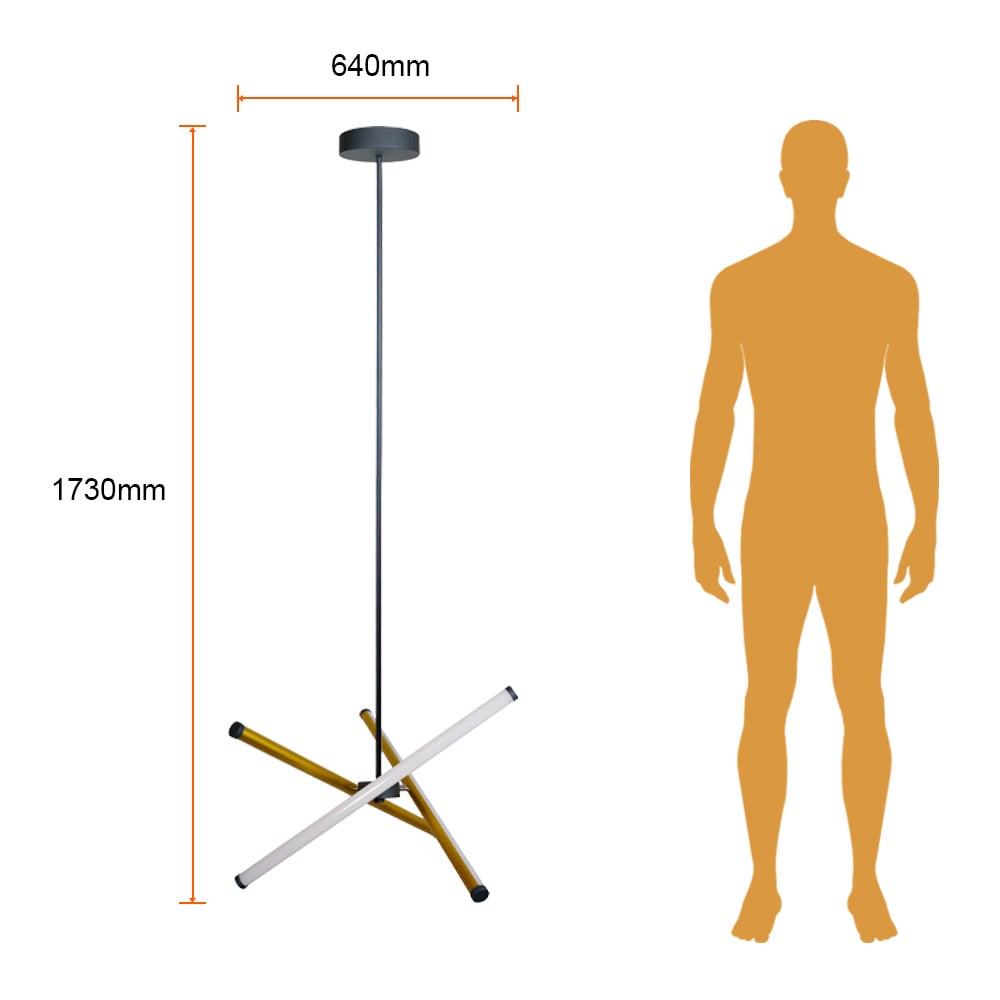 CARTER junto a silueta humana: 1730 mm de altura y 640 mm de ancho