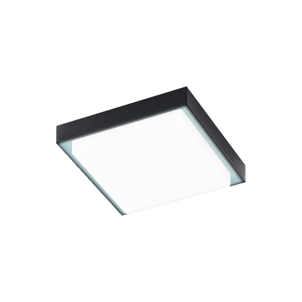 OKAB II plafón LED negro cuadrado con difusor opalino, fondo blanco