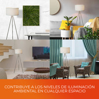 CHAMUK instalada en un ambiente real (foto oficial Tecnolite)