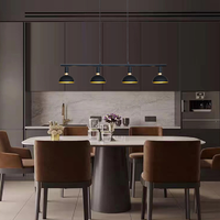 ARNEB II instalada en un ambiente residencial (foto oficial Tecnolite)