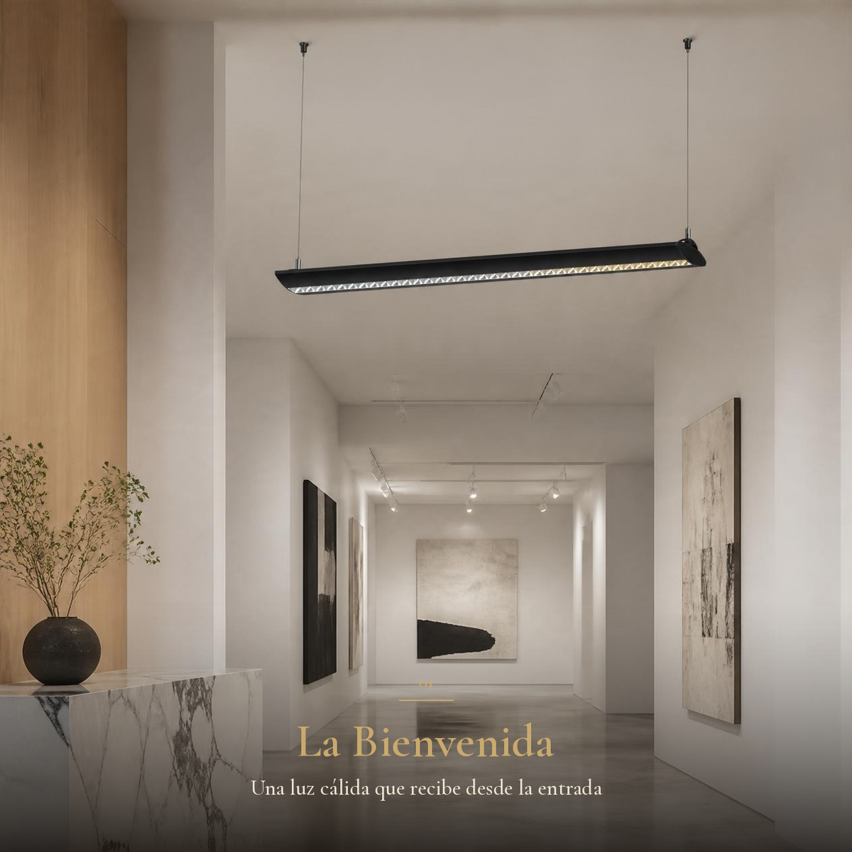 BARNARD lineal negra suspendida en recibidor de galería blanca