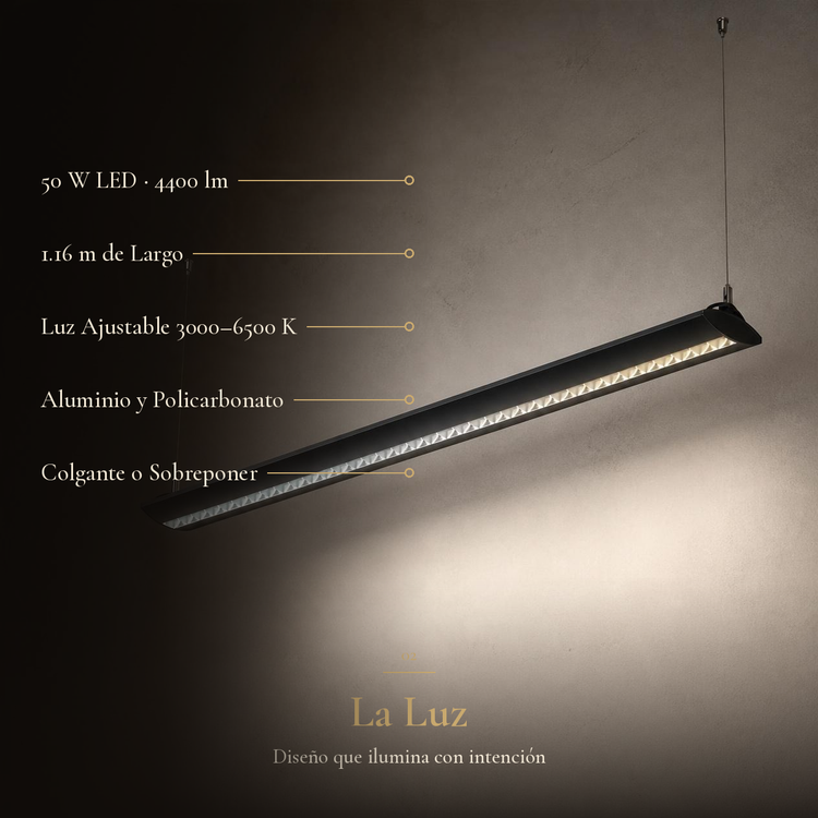 BARNARD detalle 2