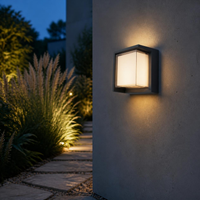 COPEINA encendido en muro exterior junto a sendero con pastos
