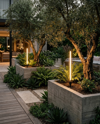 Dos GRAS II encendidas en jardineras de concreto con olivos junto a terraza de madera