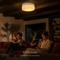 Pareja leyendo en sala bajo plafón GUDJA encendido
