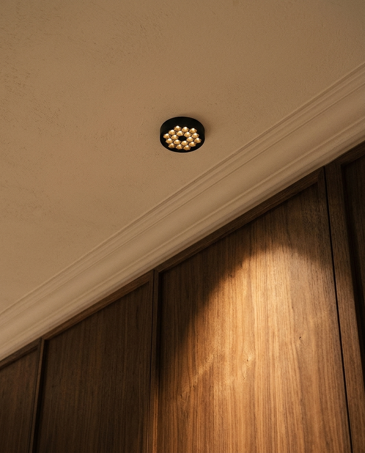 HIVE PTL II en ambiente