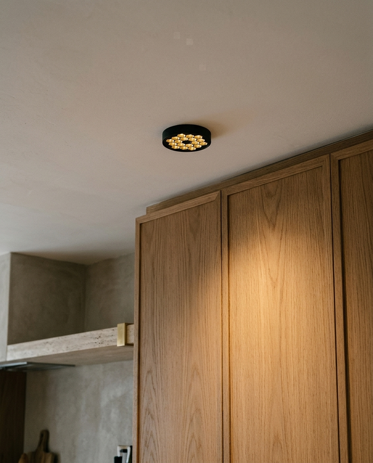 HIVE PTL II detalle 2