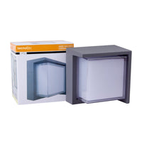 COPEINA gris junto a su caja de empaque Tecnolite
