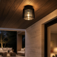 PIPOL II en techo de madera de pórtico con sala exterior