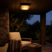 TEGMINE SQUARE en techo de madera de terraza con sillón