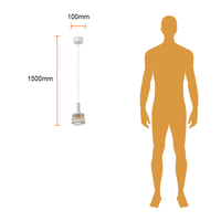 VIRGIS I junto a silueta humana para comparar su tamaño: pantalla de 100 mm de ancho y 160 mm de alto, altura total 1500 mm